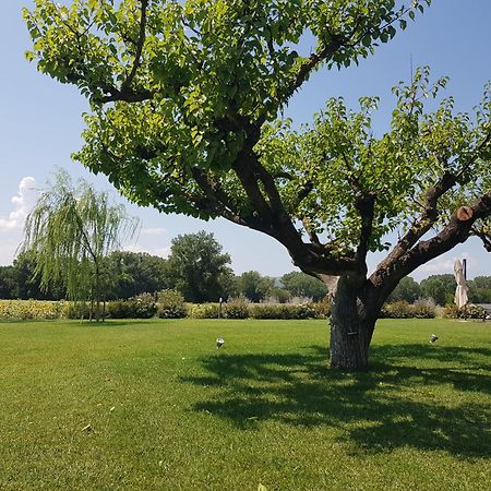 Agriturismo Villa Al Piano Todi Exterior foto